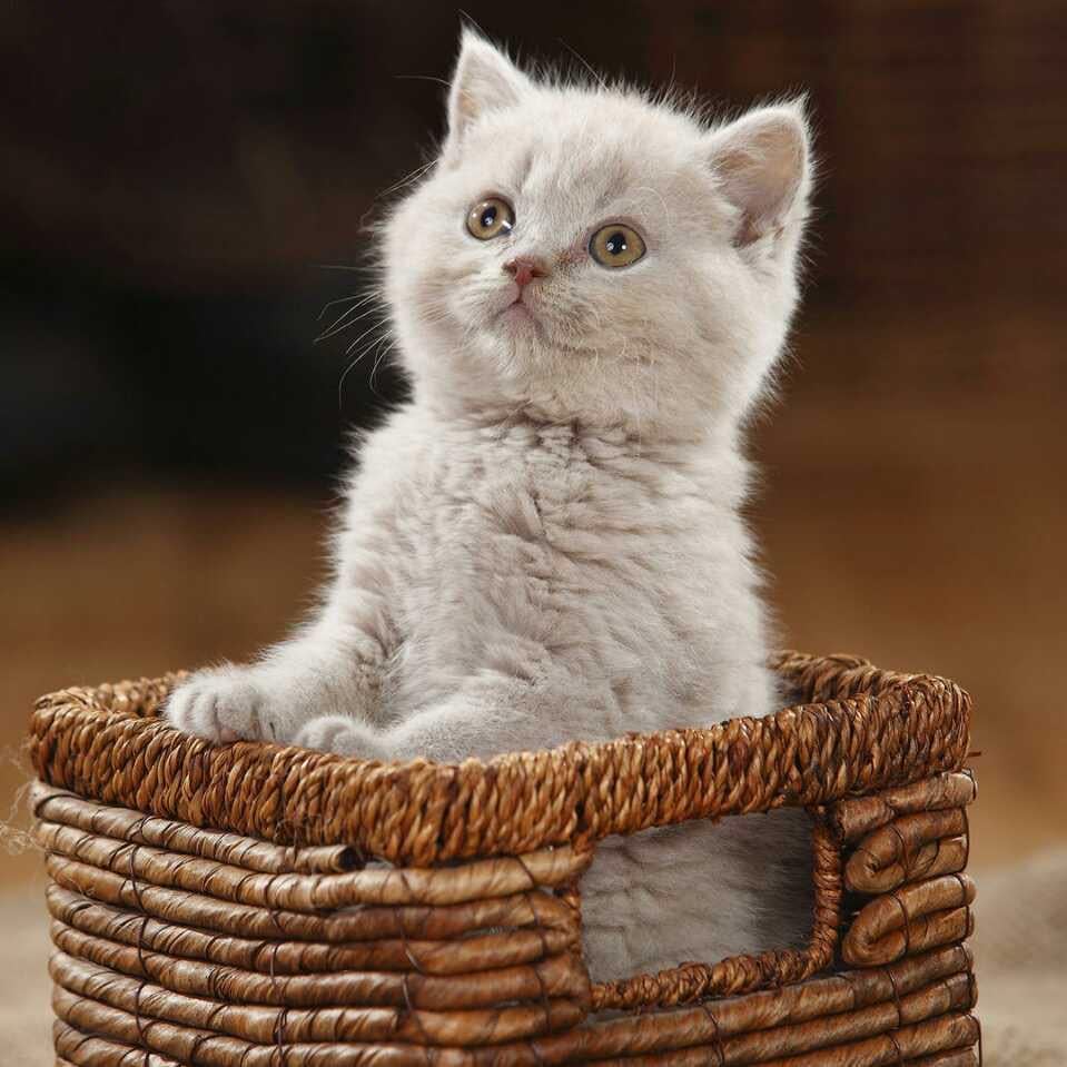 好好学习，天天向上